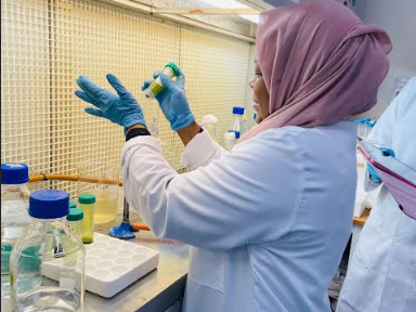 TUM scientists develop nature-based solution to treat wastewater fdcsxz