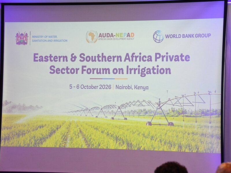 Kenya’s irrigation drive offers rice farming lessons for Africa ht3f4qpwuaaauwe