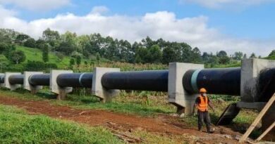 nct pipeline